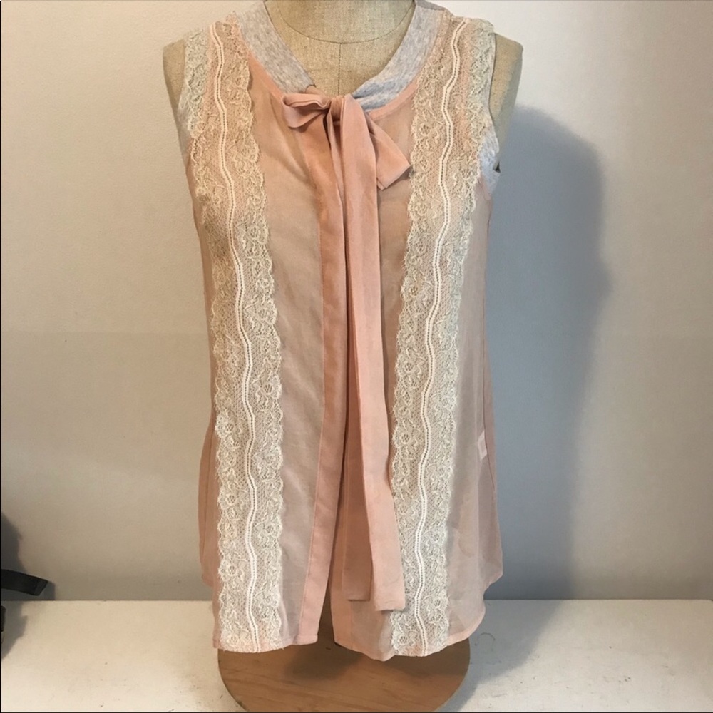 Sheer nwt top in blush Sz small